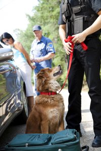Police dog finds drugs in suitcase during traffic stop.